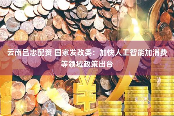 云南吕忠配资 国家发改委：加快人工智能加消费等领域政策出台